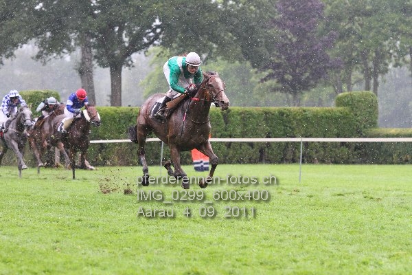 IMG 0299 600x400 prot
