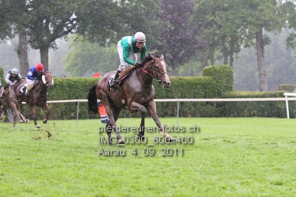 IMG 0300 600x400 prot
