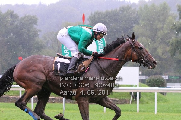 IMG 0306 600x400 prot