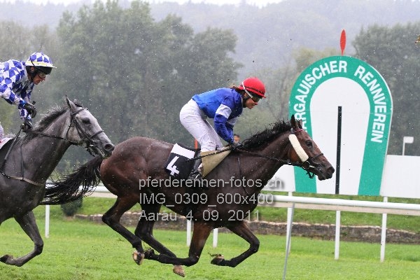 IMG 0309 600x400 prot
