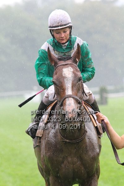 IMG 0323 600x400 prot