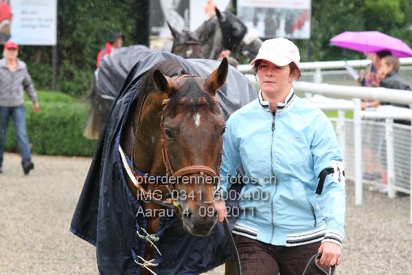 IMG 0341 600x400 prot