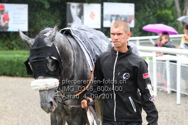 IMG 0346 600x400 prot