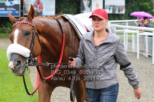 IMG 0349 600x400 prot