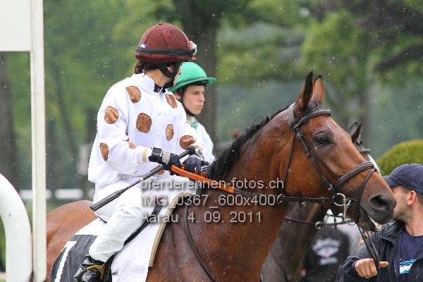 IMG 0367 600x400 prot