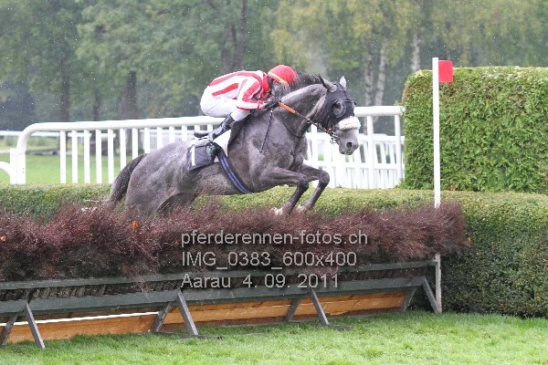 IMG 0383 600x400 prot