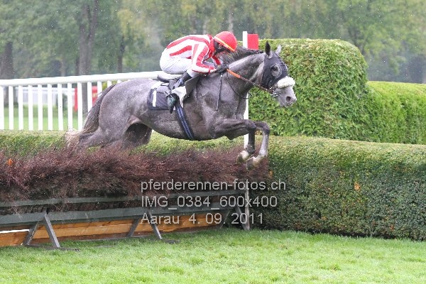 IMG 0384 600x400 prot