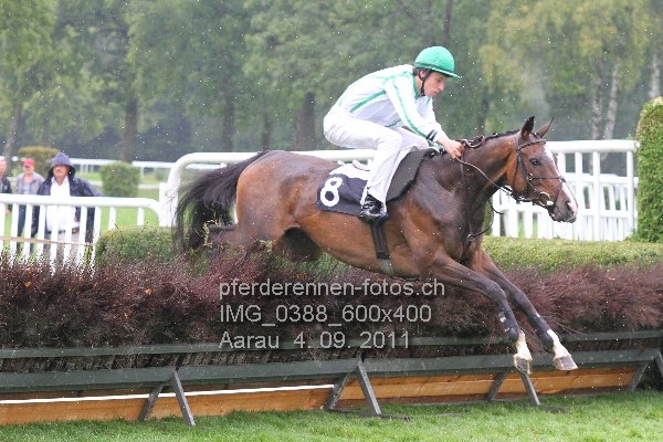 IMG 0388 600x400 prot
