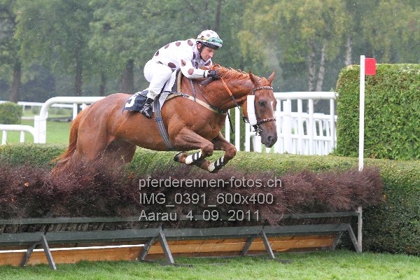IMG 0391 600x400 prot