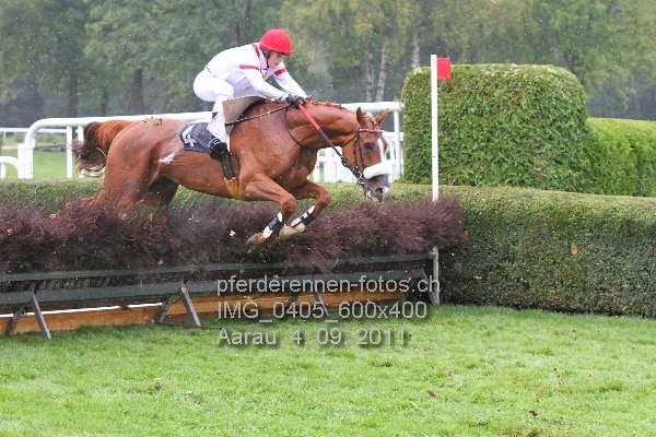 IMG 0405 600x400 prot