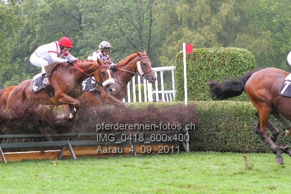 IMG 0418 600x400 prot