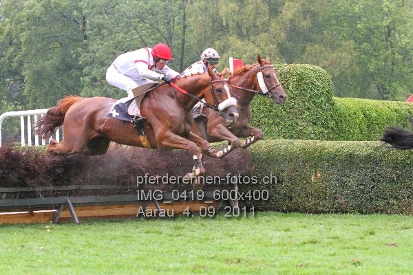 IMG 0419 600x400 prot