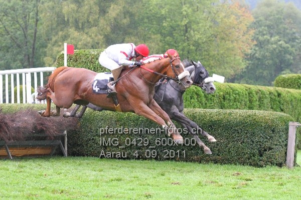 IMG 0429 600x400 prot