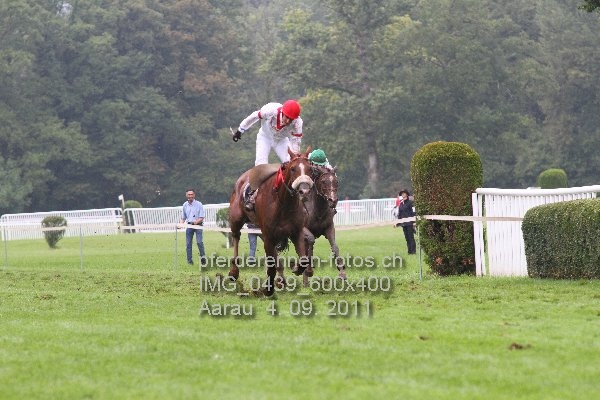 IMG 0439 600x400 prot