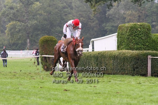 IMG 0446 600x400 prot