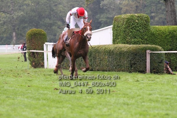 IMG 0447 600x400 prot