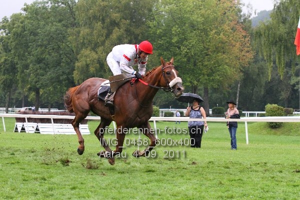 IMG 0458 600x400 prot