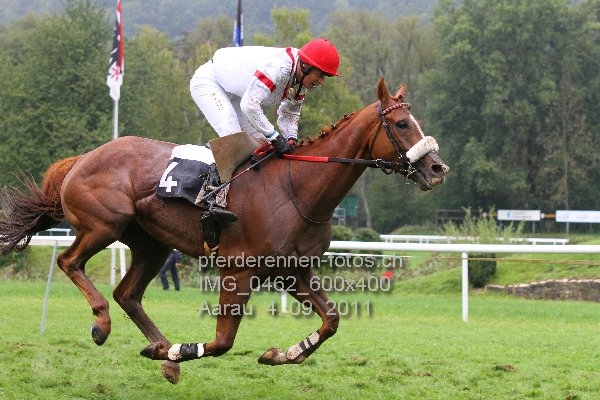 IMG 0462 600x400 prot
