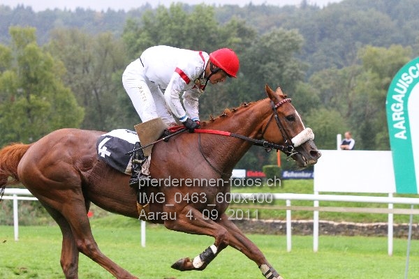 IMG 0463 600x400 prot