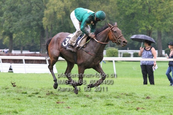 IMG 0468 600x400 prot