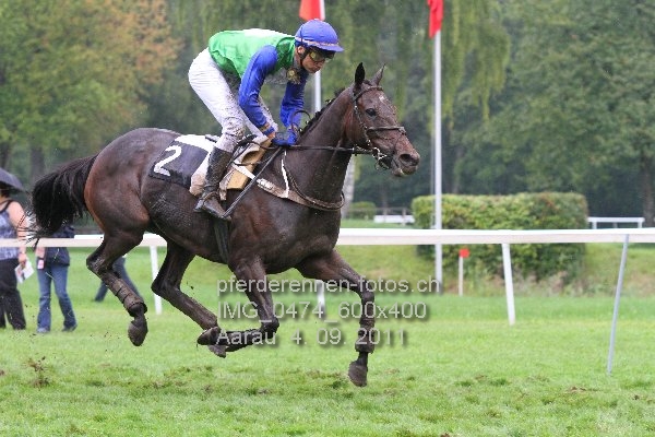 IMG 0474 600x400 prot