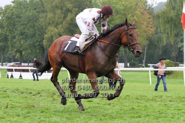 IMG 0480 600x400 prot