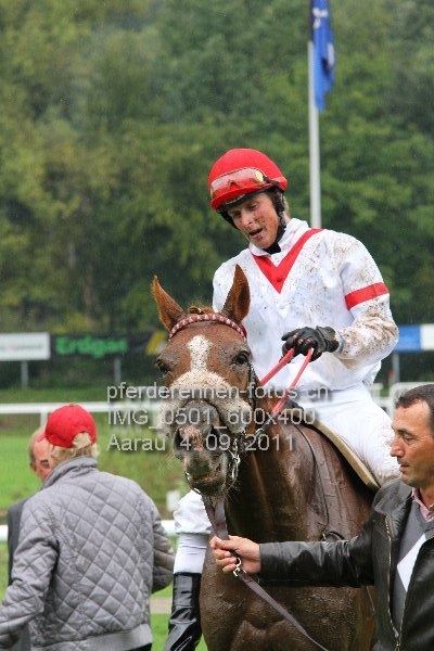 IMG 0501 600x400 prot