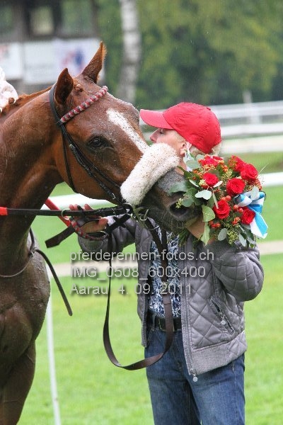 IMG 0508 600x400 prot
