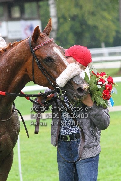 IMG 0509 600x400 prot