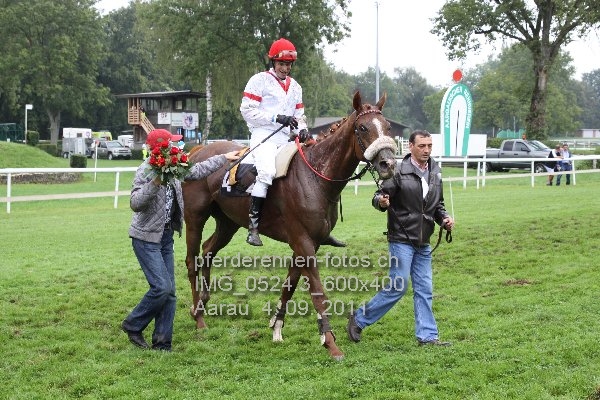 IMG 0524.3 600x400 prot