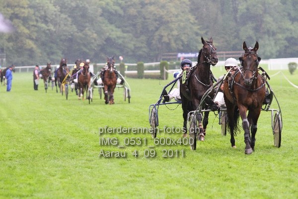 IMG 0531 600x400 prot