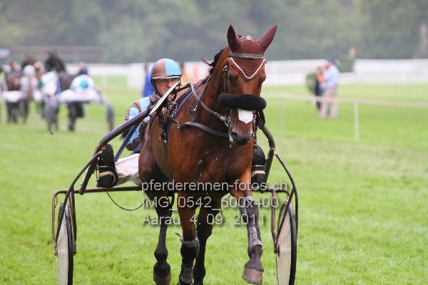 IMG 0542 600x400 prot