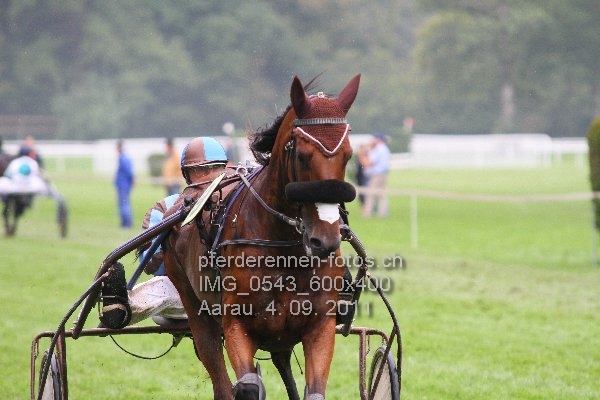 IMG 0543 600x400 prot