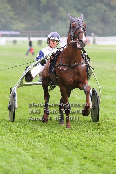 IMG 0546 600x400 prot