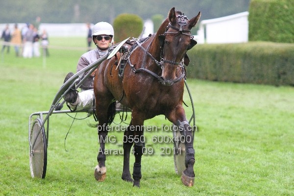 IMG 0550 600x400 prot
