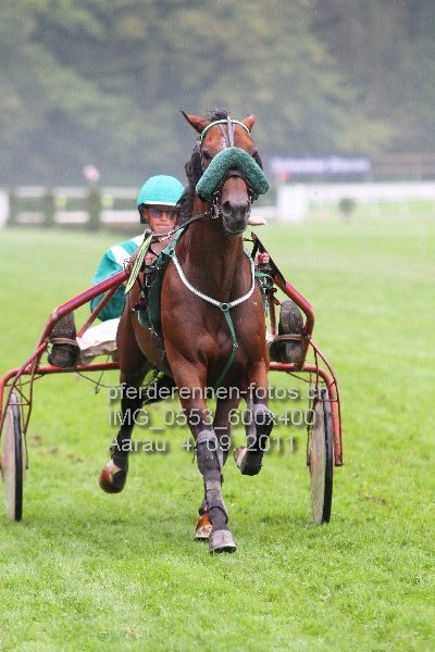 IMG 0553 600x400 prot