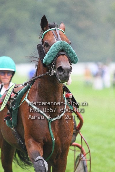 IMG 0557 600x400 prot