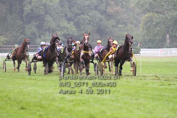 IMG 0571 600x400 prot