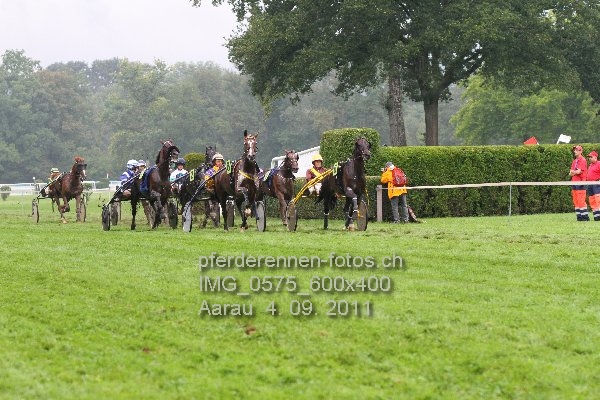 IMG 0575 600x400 prot