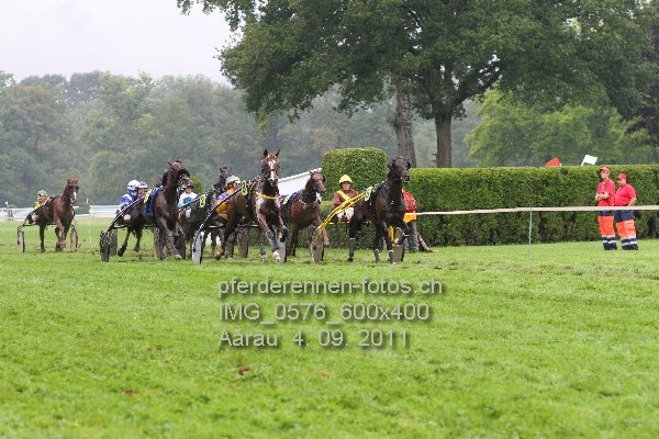IMG 0576 600x400 prot