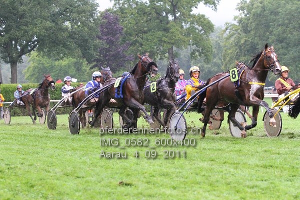 IMG 0582 600x400 prot