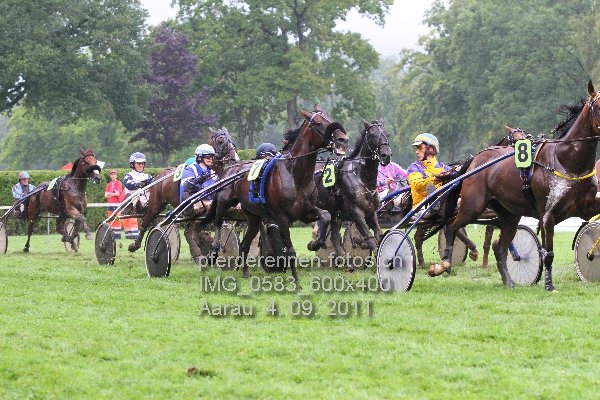 IMG 0583 600x400 prot