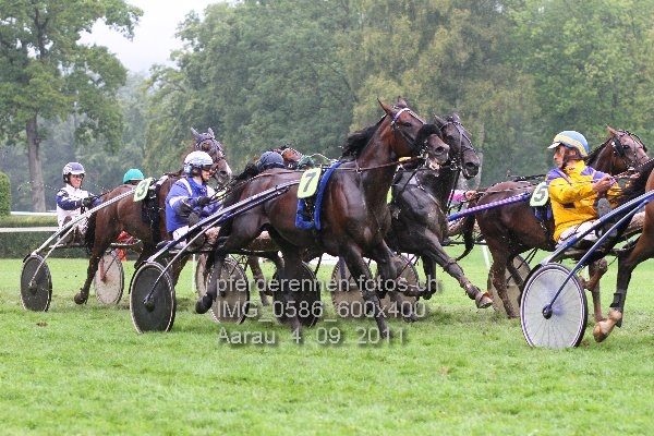 IMG 0586 600x400 prot