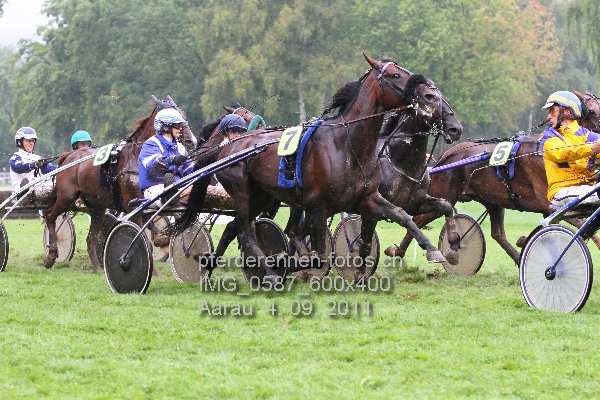 IMG 0587 600x400 prot
