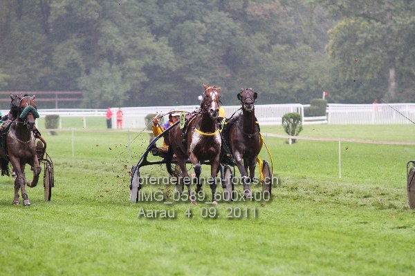 IMG 0589 600x400 prot