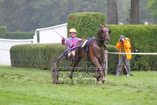 IMG 0593 600x400 prot