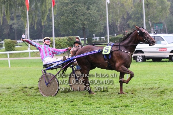 IMG 0609 600x400 prot