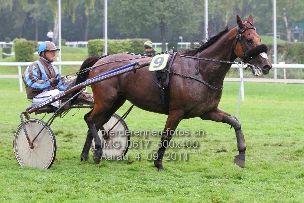 IMG 0617 600x400 prot