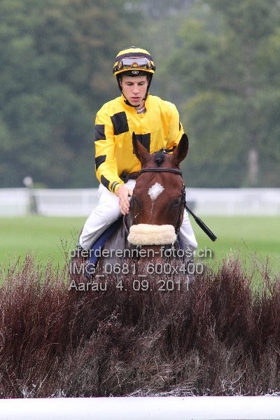 IMG 0681 600x400 prot