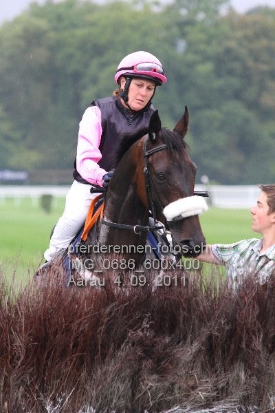 IMG 0686 600x400 prot